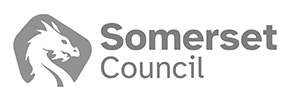 Somerset council logo